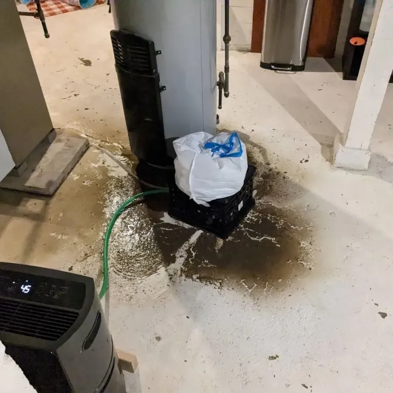 Sewage Backup Cleanup Service in Franklin Springs, GA
